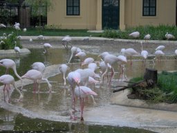 Zoo